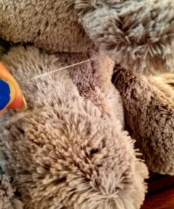 ebba™ Playful Lil Benny Phant™ Baby Stuffed Animal - Soft & Cuddly Toy - Imaginative Play - Gray 10 Inches Jungle 10-Inches 31 71tGypnuiQL