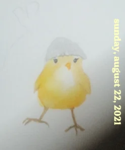 Winsor & Newton Cotman Watercolor Paint Set, Travel Set, 24 Whole Pans 24 Whole Pan Travel Set 51 71tJjob4rpL