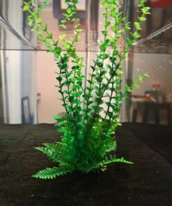 AquaClear 50 Power Filter, Fish Tank Filter for 20- to 50-Gallon Aquariums (Packaging may vary) 20 to 50 Gallons - 50 46 71tJqZ s9L