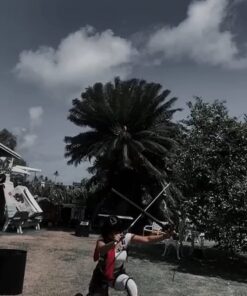 2PC COMBO SET 37" Attack on Titan Shingeki Kyojin Fantasy Foam Sword LARP Halloween Costume Cosplay Xmas 21 71tML5b1vHL