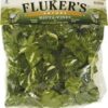 Fluker's Repta Vines-Pothos for Reptiles and Amphibians Pothos