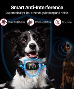 Dog Bark Collar, DINJOO Bark Collar for Large Medium Small Dogs,Smart Bark Collar,Rechargeable Anti Barking Training Collar with 8 Adjustable Sensitivity,Bark Shock Collar with Beep (Black) Black 25 71tMv YJgeL