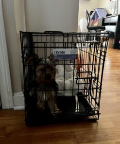 MidWest Homes for Pets Newly Enhanced Single Door iCrate Dog Crate, Includes Leak-Proof Pan, Floor Protecting Feet, Divider Panel & New Patented Features 22.5"L x 13.5"W x 16.0"H 30 71tNnIJF0qL