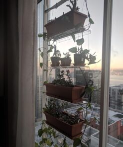 Beautiful Views Hanging Window Plant Shelves (4 Shelves) 4 Shelves 20"x6"x54" 53 71tPppR8LGL