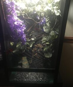 Zoo Med ReptiBreeze Open Air Screen Cage, Extra Large, 24 x 24 x 48-Inches 39 71tR0 ll6TL