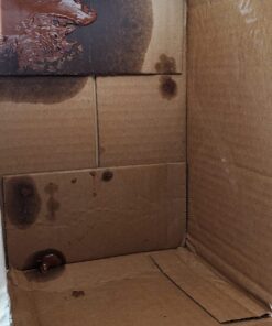 Kirkland Signature Hazelnut Spread with Cocoa, 2 Count, 4.4 Pound 9 71tRenDdpaL