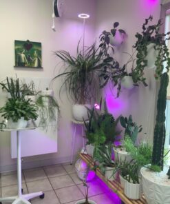 SUMMIT CHEMICAL CO 117-6 30OZ Mosquito Bits 29 71tSlh8v1L