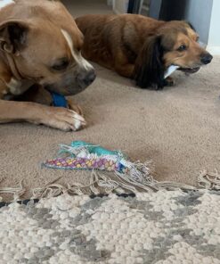 Nylabone Power Chew Toys Variety Triple Pack - Dog Toys for Aggressive Chewers - Indestructible Dog Bones for Small Dogs - Chicken, Bacon & Peanut Buter Flavors, Small/Regular (3 Count) Small up to 25 lbs. 45 71tTTB0LAUL