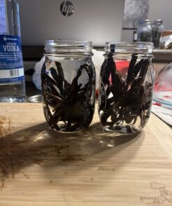 10 Organic Grade A Madagascar Vanilla Beans. Certified USDA Organic. 6"-7.5" for Extract, Paste, Essence and Baking by FITNCLEAN VANILLA. Bulk Bourbon Fresh NON-GMO Whole Gourmet Pods 10 Count (Pack of 1) 24 71tTYFnisL