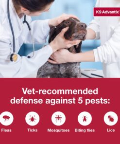 K9 Advantix II XL Dog Vet-Recommended Flea, Tick & Mosquito Treatment & Prevention | Dogs Over 55 lbs. | 4-Mo Supply 4 Pack XL Dog only 23 71tUbLQ4DWL 1