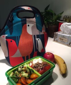 Artovida Artists Collective Insulated Neoprene Lunch Bag - Washable Soft Lunch Tote for Work and Picnic - Design By Budi Satria Kwan (Indonesia) – Ocean, Sea, Wave-Classic Budi Kwan The Wave 43 71tWIgxILLL