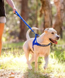 EzyDog ZERO SHOCK Leash - Best Shock Absorbing Dog Leash, Control & Training Lead (48" Black) 48-Inch 18 71tWvHjjYjL
