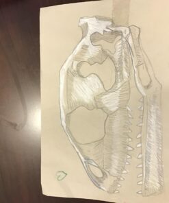 SAKURA - 37488 Gelly Roll Classic 08 (Medium Pt.) 3 Pack Pen, White 33 71tZQrq5ejL