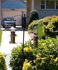 Perky-Pet 325C 2-Tier Copper Panorama Bird Feeder 2 Tier 23 71tbZAQ5QYL