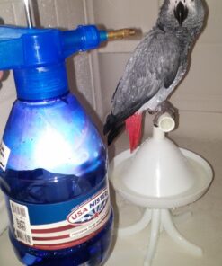 CoreGear Classic USA Misters 1.5 Liter Personal Water Mister Pump Spray Bottle Blue 29 71tc2O HUL 1