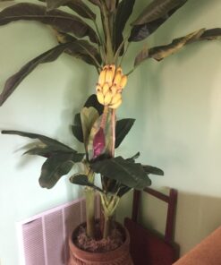 Nearly Natural 5226 6ft. Triple Stalk Banana Silk Tree , Green , 53.25" x 13" x 11.5" 22 71tdtRbTHYL