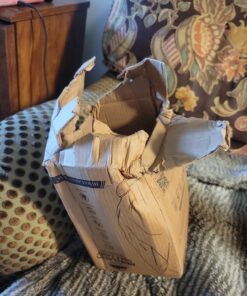 Himalayan Glow 1002 Crystal, 6-8 Lbs, Salt Lamp Himalayan Salt Lamp 59 71tmZav4YFL