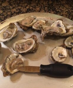 OXO Good Grips Stainless Steel Non-Slip Oyster Knife,Black/Silver 30 71toxylIuNL