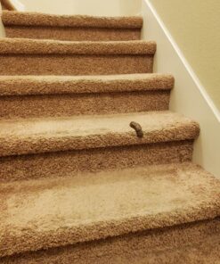 Loftus Gross Party Pooper Fake Poo Toy, Brown, 4 inches 23 71tpDfLk9oL