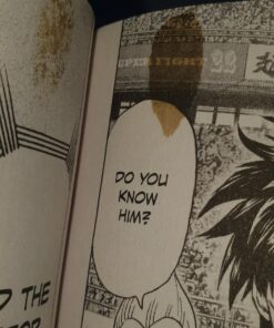 Alternative view of One-Punch Man, Vol. 13 (13)