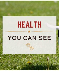 Merrick Grain Free Puppy Chicken Sweet Potato Recipe Dry Dog Food (4 lb) Puppy Real Chicken + Sweet Potato 4 Pound (Pack of 1) 23 71trw8PDgUL