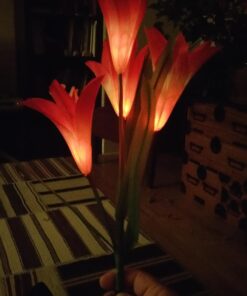 TONULAX Solar Garden Lights Outdoor - New Upgraded, Multi-Color Changing Lily Solar Lights for Patio,Yard Decoration, Bigger Flower and Wider Solar Panel (2 Pack,Purple and Red) 2 Pack 37 71ttzhrqUTL