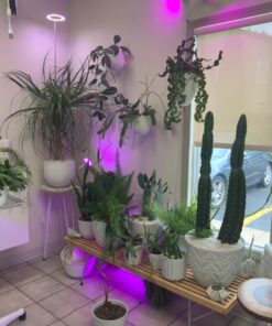 SUMMIT CHEMICAL CO 117-6 30OZ Mosquito Bits 27 71tvZfuVIL