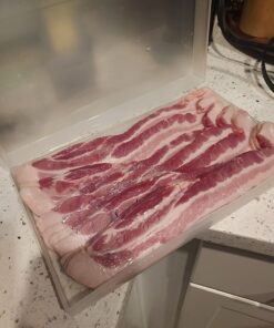 Home-X Bacon Saver, Plastic Bacon Container/Kitchen Meat Saver Storage Container 16 71txI43iaDL