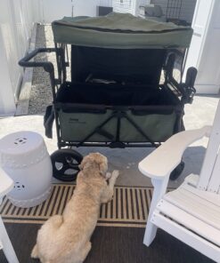 Jeep Deluxe Wrangler Stroller Wagon with Cooler Bag and Parent Organizer by Delta Children, Black/Green 53 71tytPv5LvL