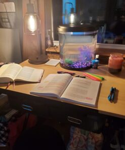 The Armor of God - Bible Study Book 40 71tz4LuMIL