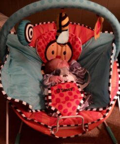 Sassy Cuddle Bug Bouncer, Whimsical Bumble Bee 13 71tzLHsj7mL 1