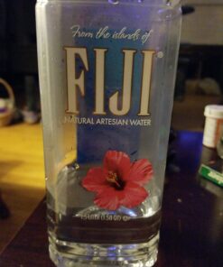 FIJI Natural Artesian Bottled Water 700 mL / 23.7 Fl Ounce (Pack of 12) - Sports Cap 42 71tzdxUQKsL