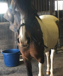 Farnam Horseshoer's Secret Deep-Penetrating Hoof Oil for Horses, Conditions Dry Hooves and Prevents Cracks, Splits and Contracted Heels, Contains Avocado Oil, 32 Oz. 23 71tziOhZRDL