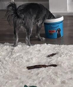 Stewart Freeze Dried Dog Treats, Beef Liver, Grain Free & Gluten Free, 14 Ounce Resealable Tub, Single Ingredient, Made in USA, Dog Training Treats 14 Ounce (Pack of 1) 28 71u1kp15GL 1