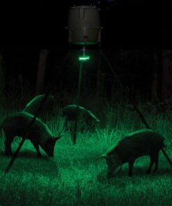 Moultrie Feeder Hog Light | 35 LEDs | 4-Way Switch | Attaches to Most MOU Feeders, Black, 1 pack 13 71u2GX7M0S