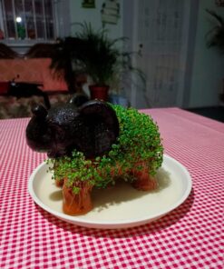 Chia Pet Puppy with Seed Pack, Decorative Pottery Planter, Easy to Do and Fun to Grow, Novelty Gift, Perfect for Any Occasion 9 71u3rOLXYbL