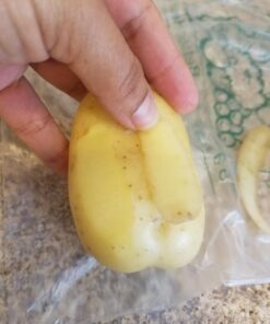 Precision Kitchenware - Ultra Sharp Stainless Steel Dual Julienne & Vegetable Peeler with Cleaning Brush & Blade Guard 25 71u4ojZqH9L 1