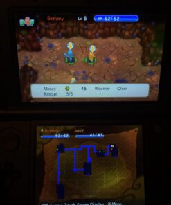 Pokemon Super Mystery Dungeon - Nintendo 3DS Standard Edition 16 71u5fc9luKL