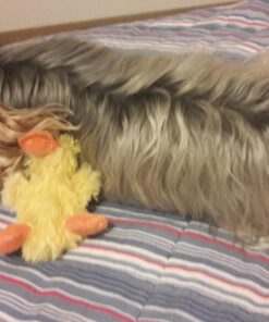 KONG - Plush, Low Stuffing Squeak Duck Dog Toy - Replacement Squeaker Included- For Small Dogs 1 Pack 28 71u612NFhL