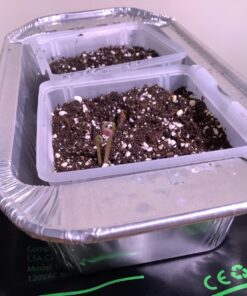 General Hydroponics RapidStart, Plant Food, 1-0.5-1, 275 mL. 33 71u90ZQjGdL