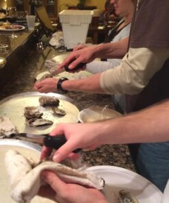 OXO Good Grips Stainless Steel Non-Slip Oyster Knife,Black/Silver 31 71uAOXtilL