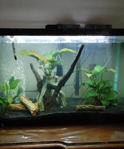 Aquatic Experts Aquarium Filter Floss for Fish Tank Filters - FilterFirst Aquarium Filter Pad - Aquarium Filter Media Roll for Crystal Clear Water, (12 Inch Wide, 72 Inch Long) 12 Inch Wide 45 71uCYUAVuLL