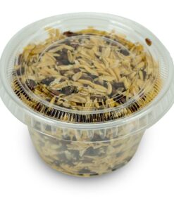 Josh's Frogs House Fly Pupae (1000 Count) 1000 Count 6 71uDxZTC6mL