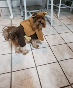Rubie's Star Wars Ewok Pet Costume, Small S (Neck: 12", Girth: 17", Back: 11") 1 39 71uH4U1H6nL