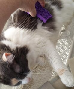 KONG - Cat ZoomGroom Purple 29 71uHVC1O7FL