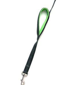 Mighty Paw Dual Handle Dog Leash - Reflective Lead with Two Handles - Dual Dog Leash Long - 2 Handle Dog Lead - Dog Leash with Traffic Loop Dog Leash 6 Foot (Grey/Green) Grey/Green 30 71uIDRz47L