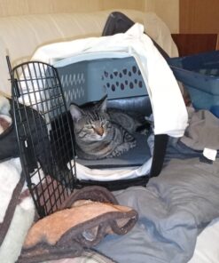 Petmate Pet Porter Fashion Dog Kennel 24", Pale Aqua & Black, for Pets 15-20lbs 24.1"L x 16.7"W x 14.5"H Pale Blue 43 71uKQi5nxZL