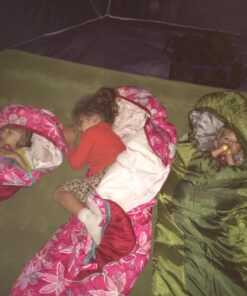 Wenzel Backyard Girls 30-Degree Sleeping Bag Green 13 71uMQJ0DU0L