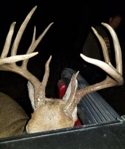 Swhacker SWH00207 #207 2 Inch Cut Broadheads Set of 3-100 Grain, Green, 2" 37 71uSWfLmVCL