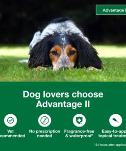 Advantage II Medium Dog Vet-Recommended Flea Treatment & Prevention | Dogs 11-20 lbs. | 4-Month Supply 4-Pack 15 71uTq3xSXL 1
